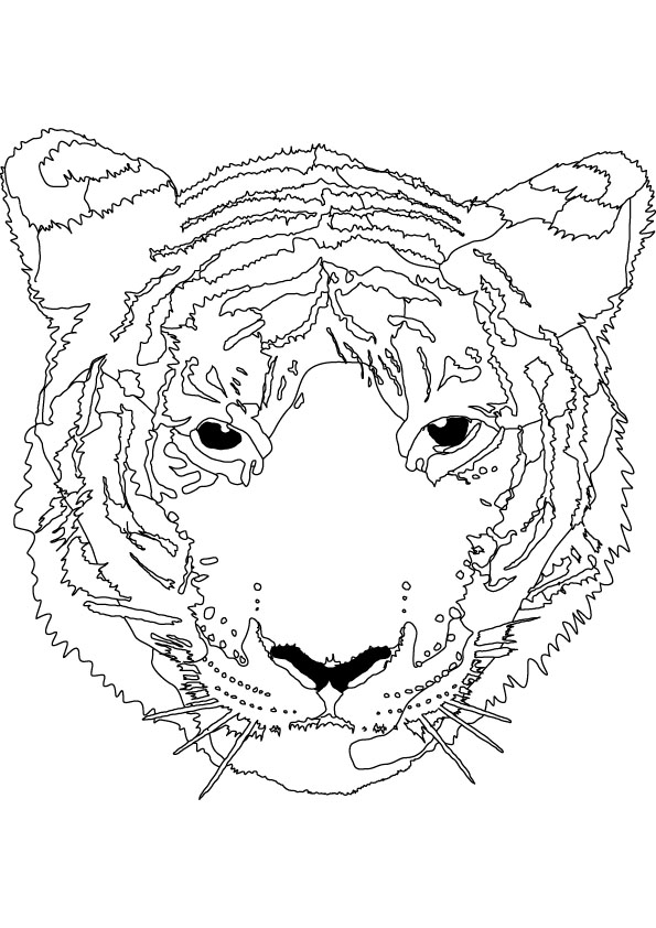 Dibujo para colorear: Tigre (Animales) #13771 - Dibujos para Colorear e Imprimir Gratis