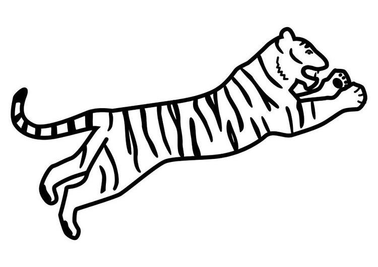 Dibujo para colorear: Tigre (Animales) #13780 - Dibujos para Colorear e Imprimir Gratis