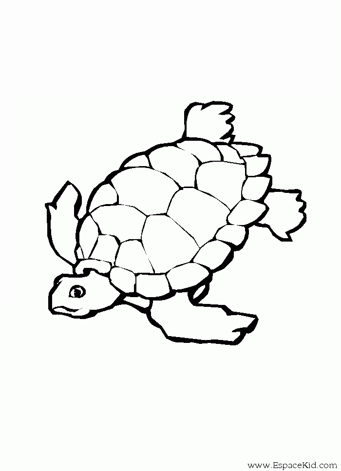 Dibujo para colorear: Tortuga (Animales) #13433 - Dibujos para Colorear e Imprimir Gratis
