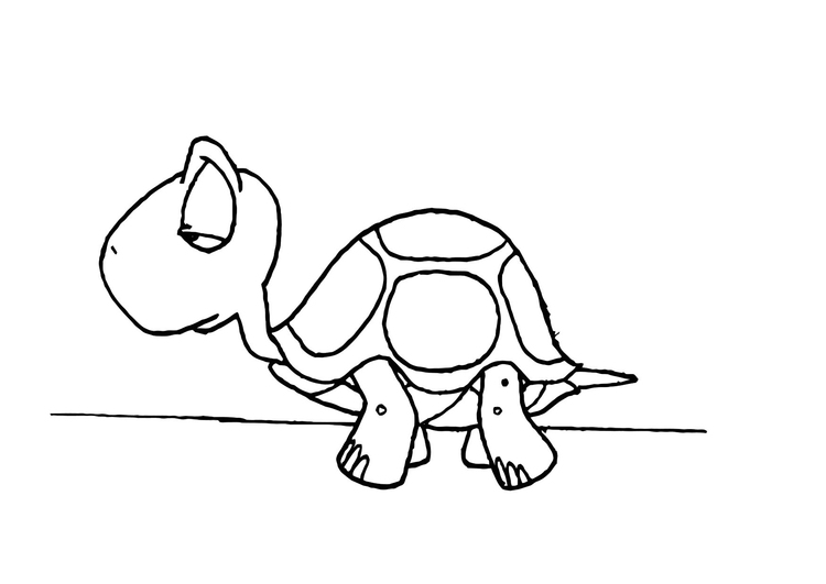 Dibujo para colorear: Tortuga (Animales) #13490 - Dibujos para Colorear e Imprimir Gratis