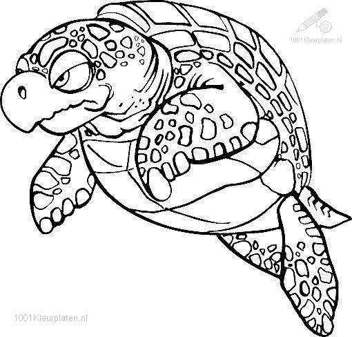 Dibujo para colorear: Tortuga (Animales) #13536 - Dibujos para Colorear e Imprimir Gratis