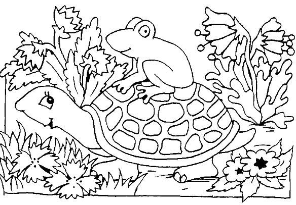 Dibujo para colorear: Tortuga (Animales) #13557 - Dibujos para Colorear e Imprimir Gratis