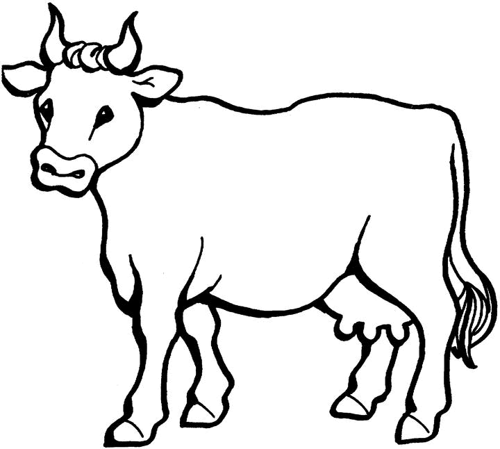 Dibujo para colorear: Vaca (Animales) #13195 - Dibujos para Colorear e Imprimir Gratis