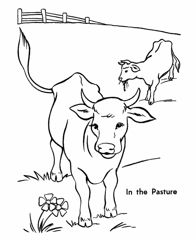 Dibujo para colorear: Vaca (Animales) #13229 - Dibujos para Colorear e Imprimir Gratis