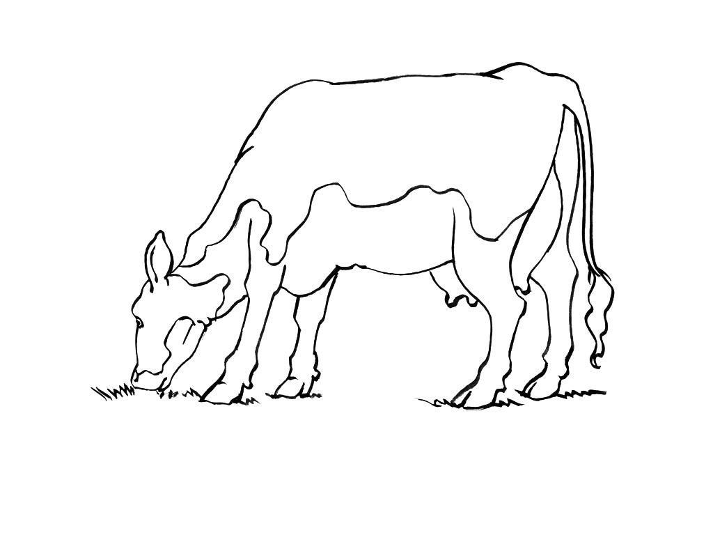 Dibujo para colorear: Vaca (Animales) #13347 - Dibujos para Colorear e Imprimir Gratis