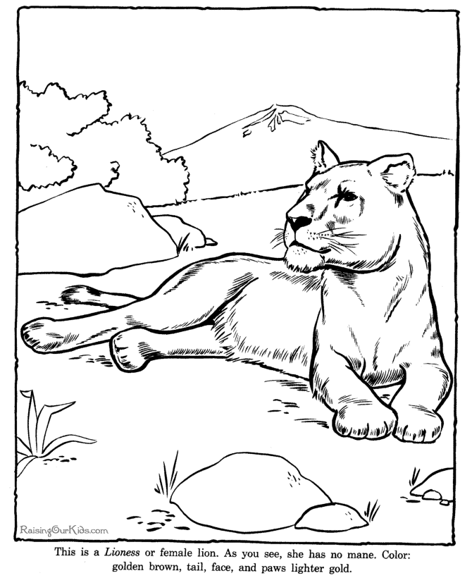Dibujo para colorear: Zoo (Animales) #12795 - Dibujos para Colorear e Imprimir Gratis