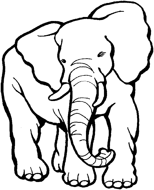 Dibujo para colorear: Zoo (Animales) #12801 - Dibujos para Colorear e Imprimir Gratis