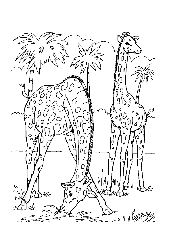 Dibujo para colorear: Zoo (Animales) #12814 - Dibujos para Colorear e Imprimir Gratis