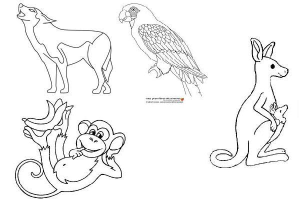 Dibujo para colorear: Zoo (Animales) #12839 - Dibujos para Colorear e Imprimir Gratis
