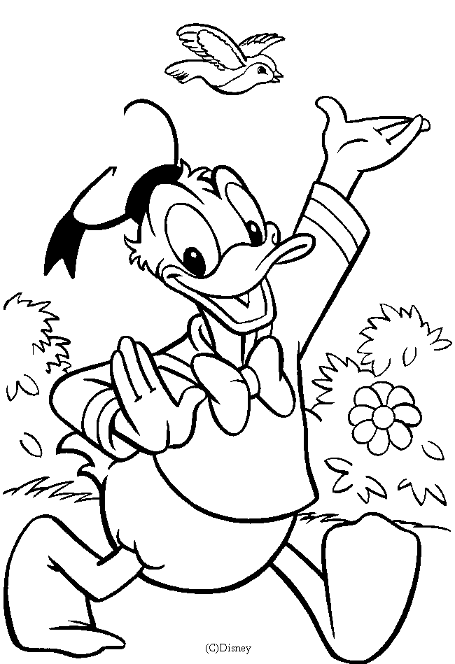 Dibujo para colorear: Donald Duck (Dibujos animados) #30159 - Dibujos para Colorear e Imprimir Gratis
