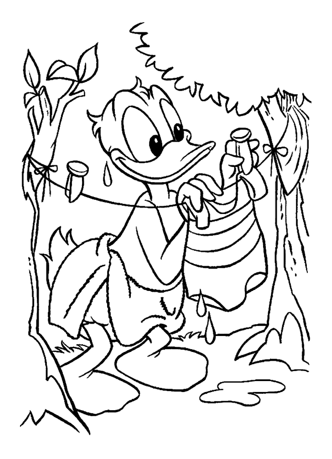 Dibujo para colorear: Donald Duck (Dibujos animados) #30379 - Dibujos para Colorear e Imprimir Gratis