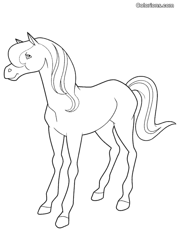 Dibujo para colorear: Horseland (Dibujos animados) #53798 - Dibujos para Colorear e Imprimir Gratis