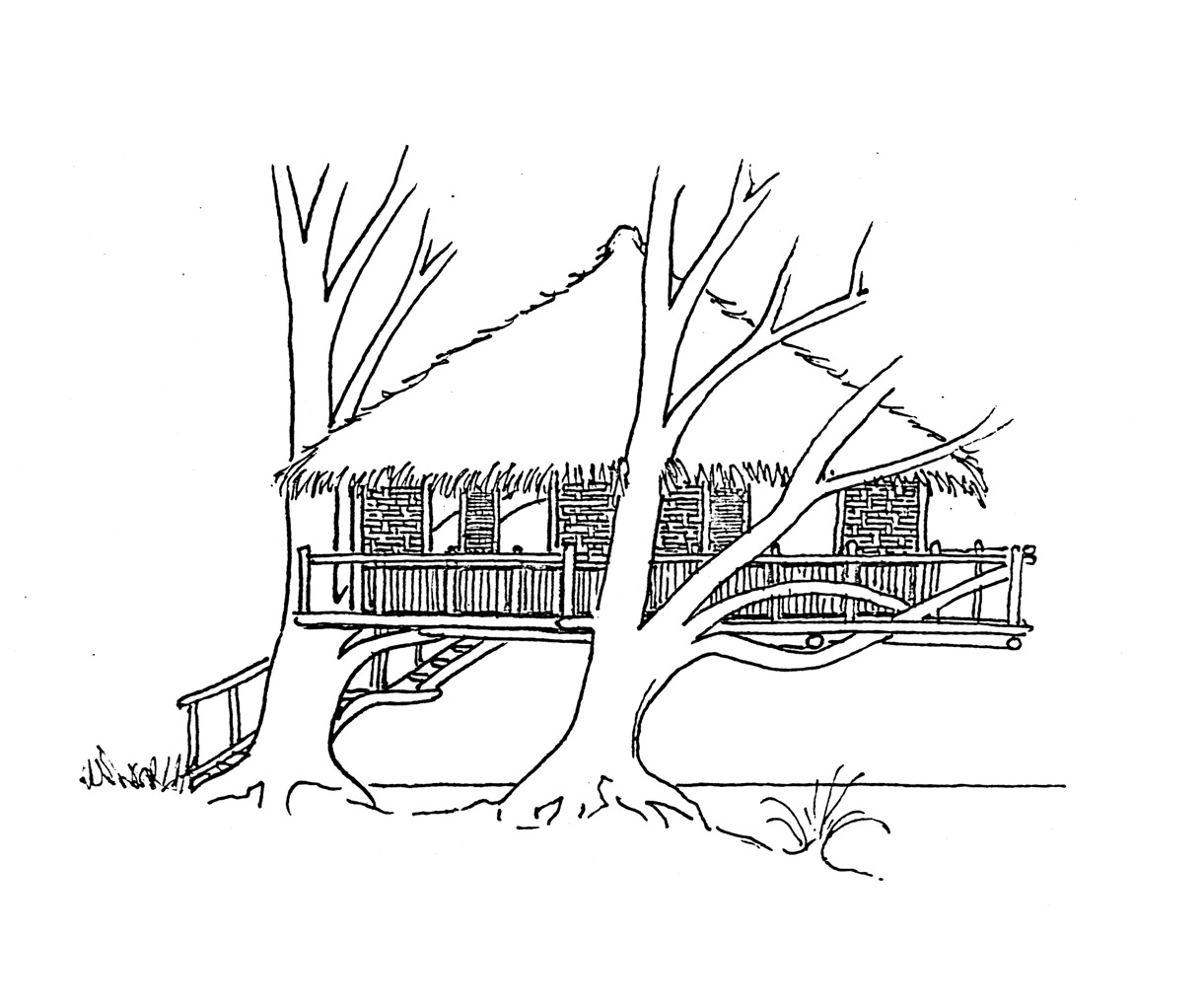 Dibujo para colorear: Casa del árbol (Edificios y Arquitectura) #66040 - Dibujos para Colorear e Imprimir Gratis