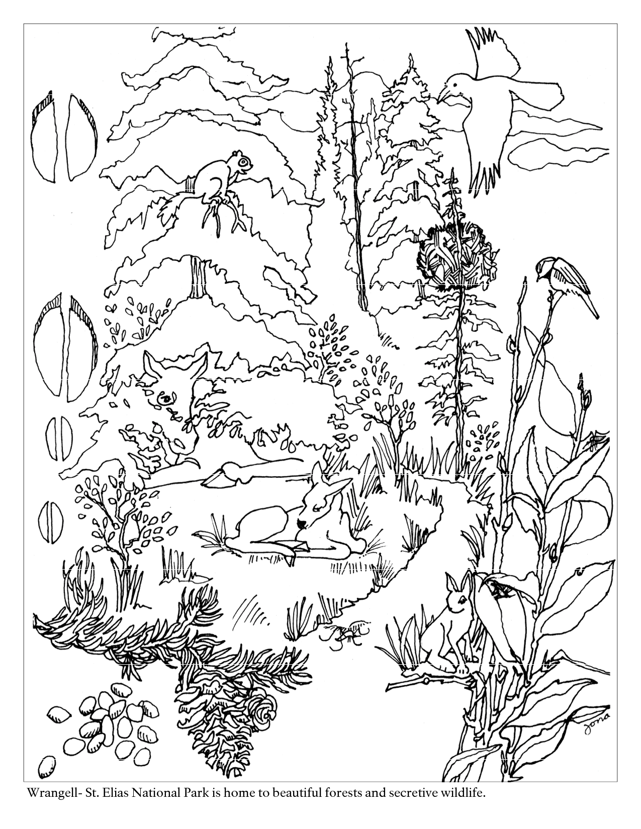 Dibujo para colorear: Bosque (Naturaleza) #157007 - Dibujos para Colorear e Imprimir Gratis