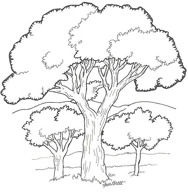 Dibujo para colorear: Bosque (Naturaleza) #157016 - Dibujos para Colorear e Imprimir Gratis