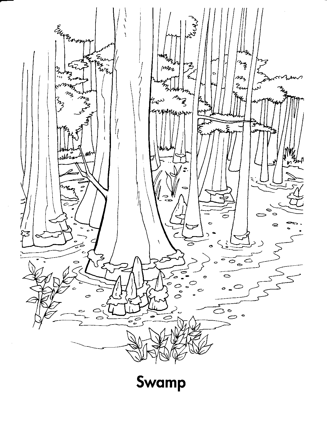 Dibujo para colorear: Bosque (Naturaleza) #157057 - Dibujos para Colorear e Imprimir Gratis