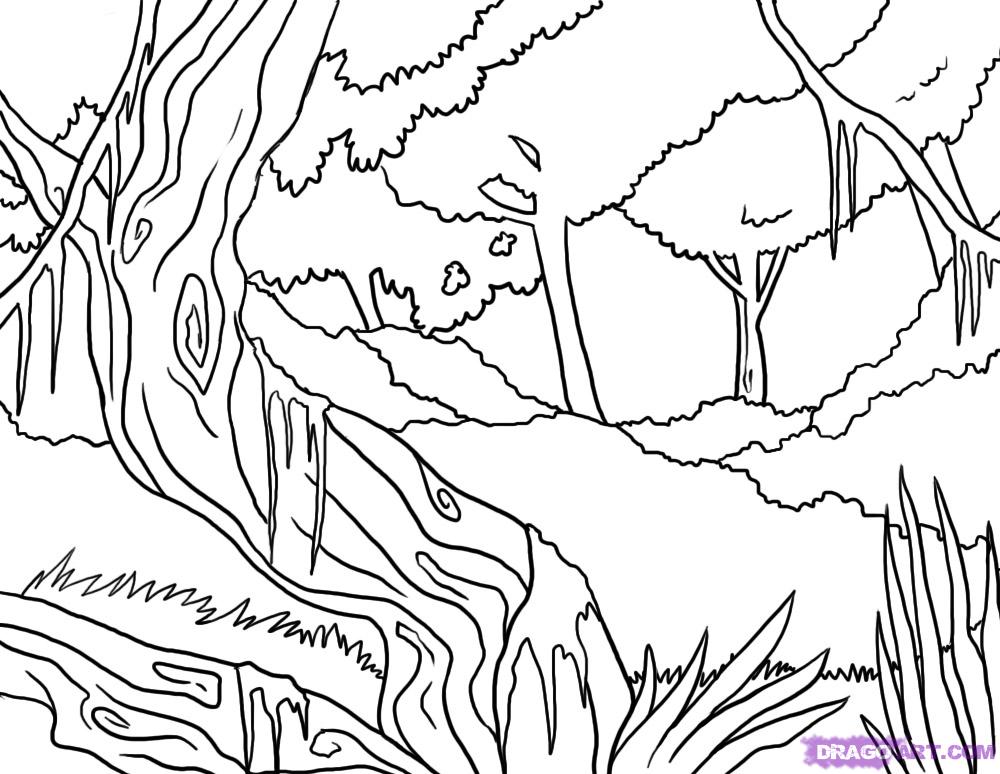 Dibujo para colorear: Bosque (Naturaleza) #157202 - Dibujos para Colorear e Imprimir Gratis