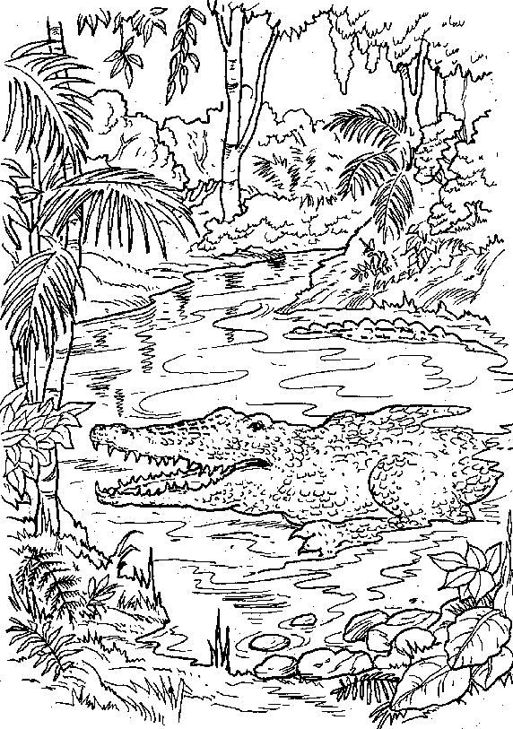 Dibujo para colorear: Bosque (Naturaleza) #157236 - Dibujos para Colorear e Imprimir Gratis