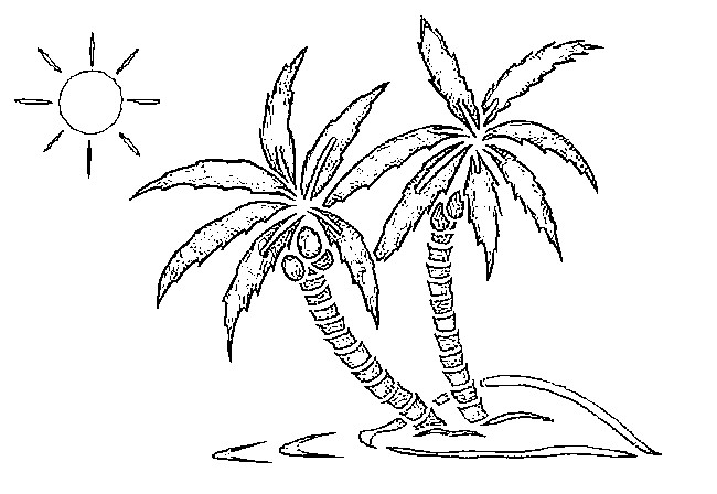 Dibujo para colorear: Cocotero (Naturaleza) #162123 - Dibujos para Colorear e Imprimir Gratis