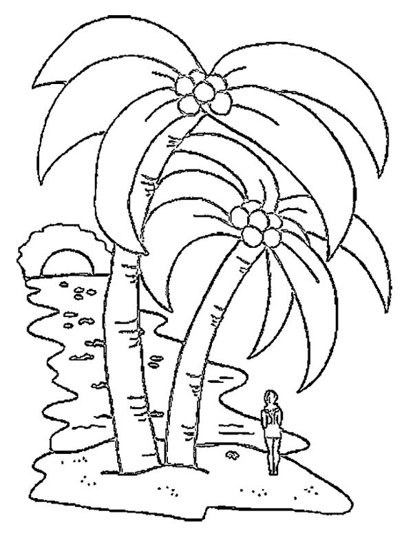 Dibujo para colorear: Cocotero (Naturaleza) #162367 - Dibujos para Colorear e Imprimir Gratis