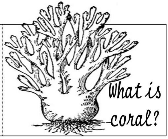 Dibujo para colorear: Coral (Naturaleza) #162907 - Dibujos para Colorear e Imprimir Gratis