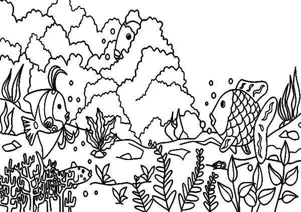 Dibujo para colorear: Coral (Naturaleza) #162963 - Dibujos para Colorear e Imprimir Gratis