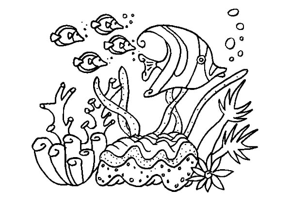 Dibujo para colorear: Coral (Naturaleza) #162991 - Dibujos para Colorear e Imprimir Gratis