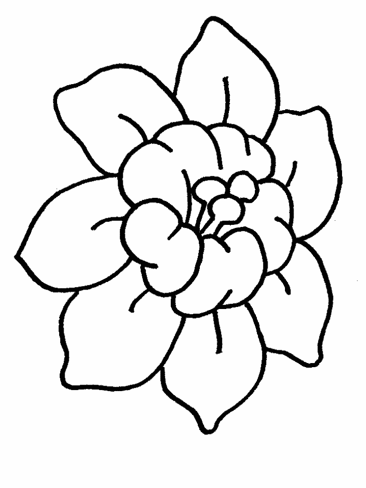 Dibujo para colorear: Flores (Naturaleza) #155010 - Dibujos para Colorear e Imprimir Gratis