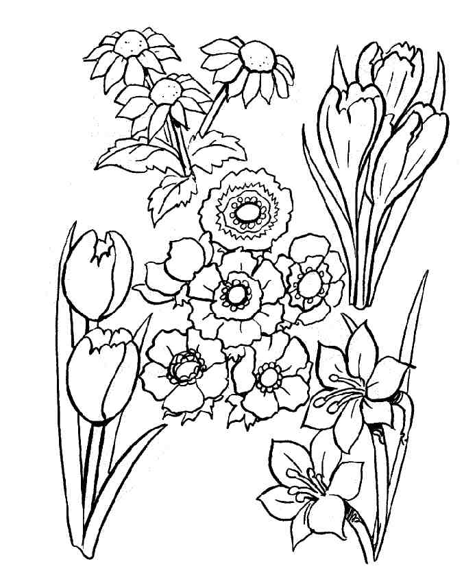 Dibujo para colorear: Flores (Naturaleza) #155035 - Dibujos para Colorear e Imprimir Gratis