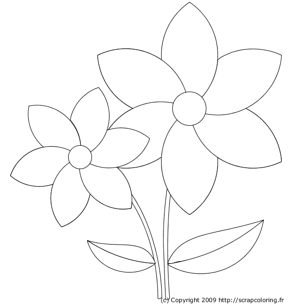 Dibujo para colorear: Flores (Naturaleza) #155040 - Dibujos para Colorear e Imprimir Gratis