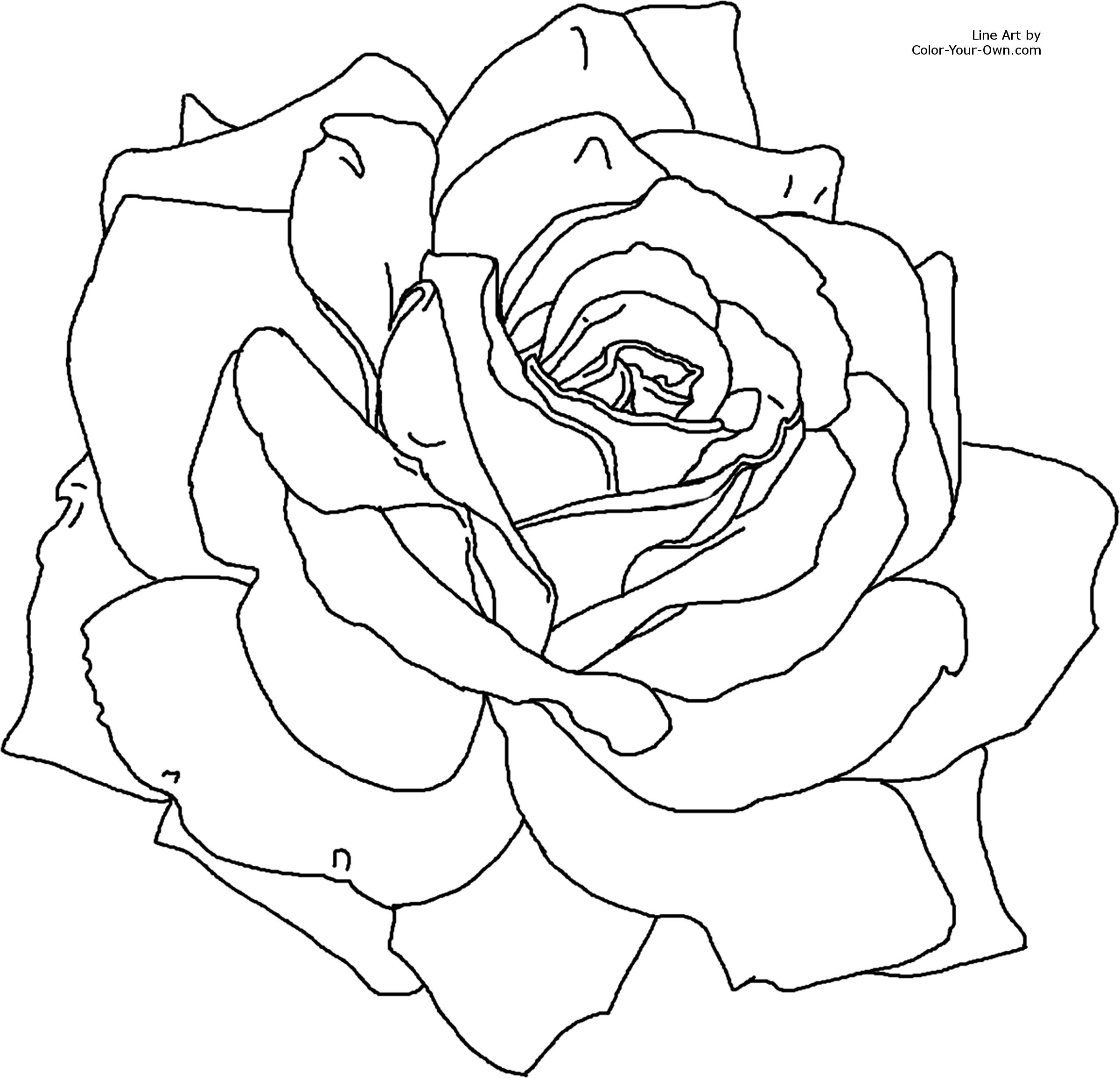 Dibujo para colorear: Flores (Naturaleza) #155098 - Dibujos para Colorear e Imprimir Gratis