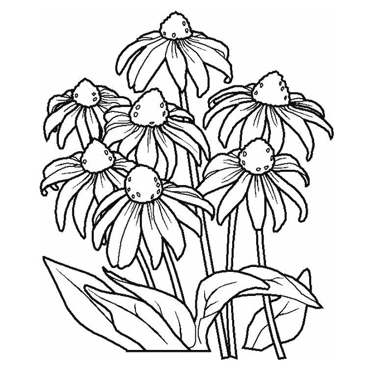 Dibujo para colorear: Flores (Naturaleza) #155142 - Dibujos para Colorear e Imprimir Gratis