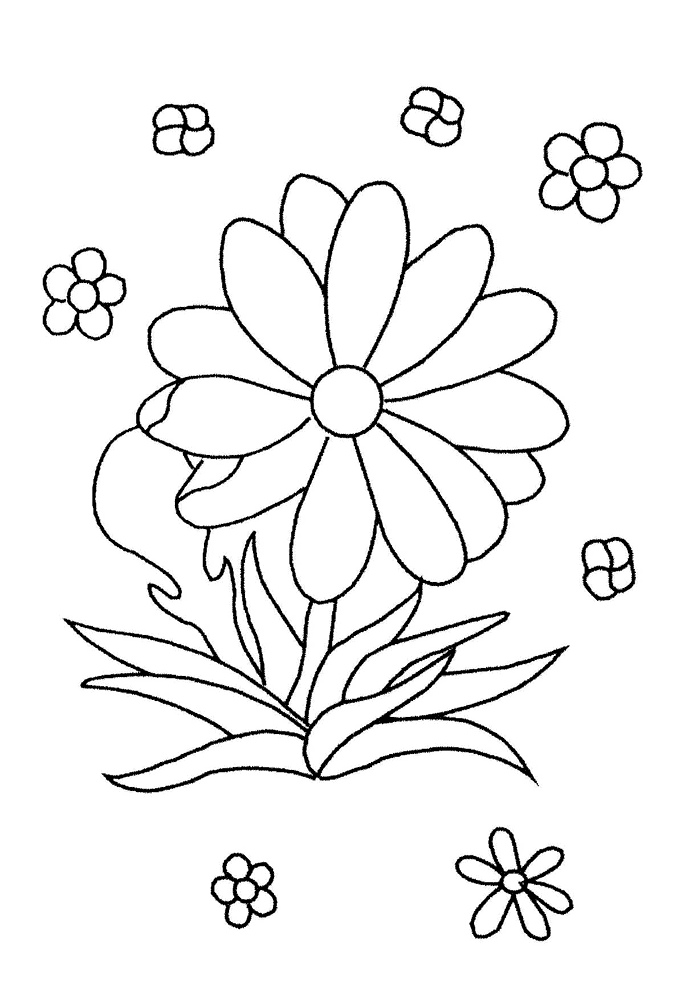 Dibujo para colorear: Margarita (Naturaleza) #161390 - Dibujos para Colorear e Imprimir Gratis