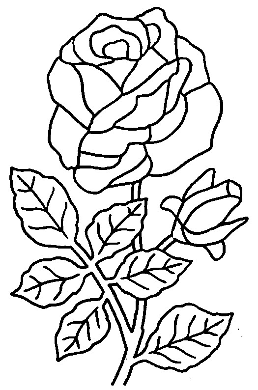 Dibujo para colorear: Ramo de flores (Naturaleza) #160738 - Dibujos para Colorear e Imprimir Gratis