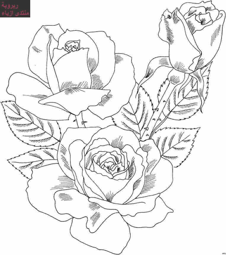 Dibujo para colorear: Ramo de flores (Naturaleza) #160739 - Dibujos para Colorear e Imprimir Gratis