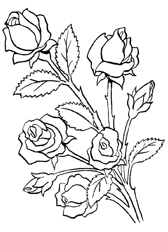 Dibujo para colorear: Ramo de flores (Naturaleza) #160740 - Dibujos para Colorear e Imprimir Gratis
