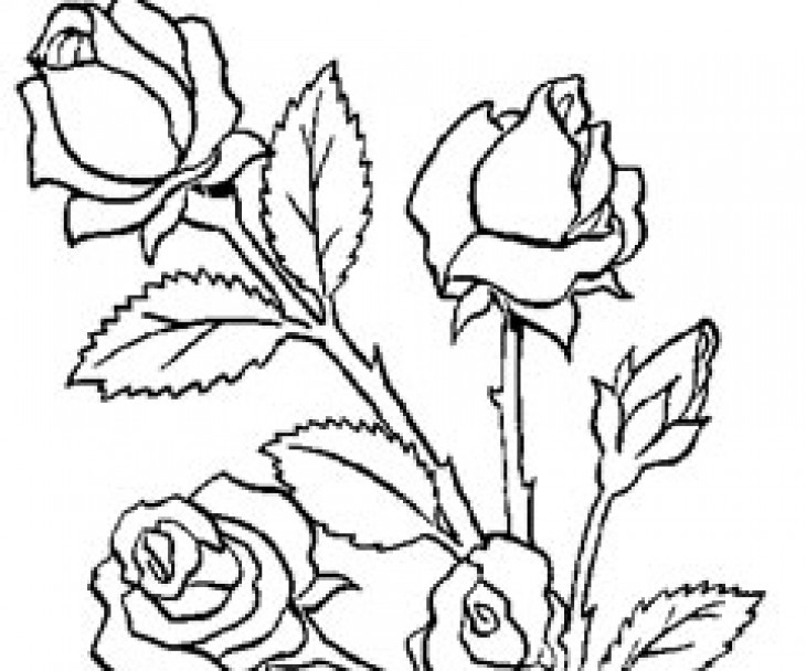 Dibujo para colorear: Ramo de flores (Naturaleza) #160747 - Dibujos para Colorear e Imprimir Gratis