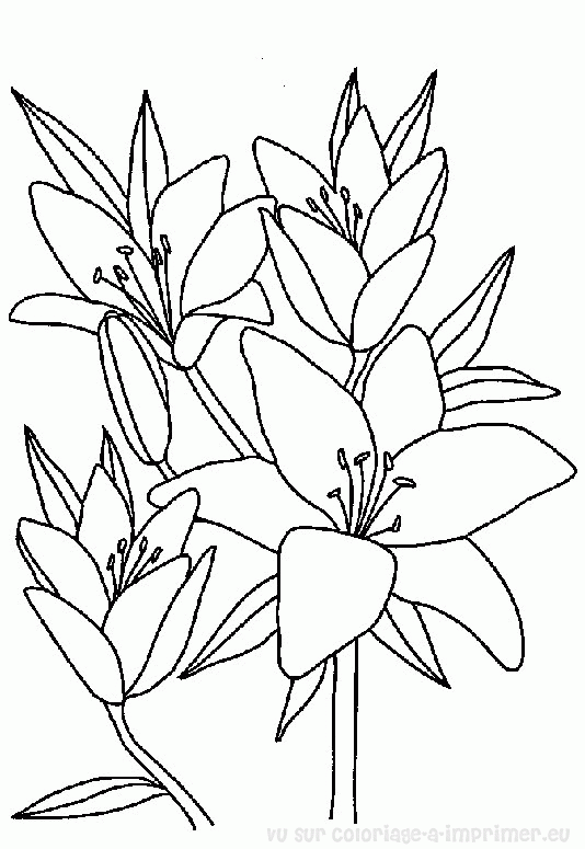 Dibujo para colorear: Ramo de flores (Naturaleza) #160788 - Dibujos para Colorear e Imprimir Gratis