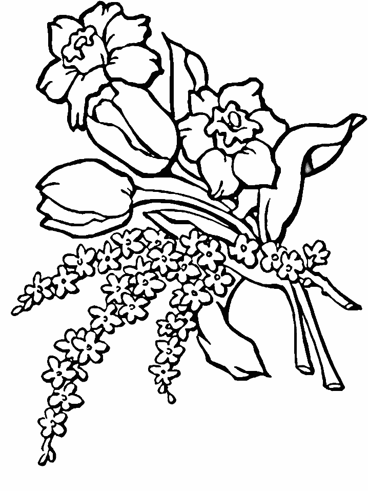 Dibujo para colorear: Ramo de flores (Naturaleza) #160790 - Dibujos para Colorear e Imprimir Gratis