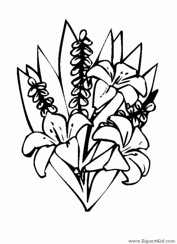 Dibujo para colorear: Ramo de flores (Naturaleza) #160891 - Dibujos para Colorear e Imprimir Gratis