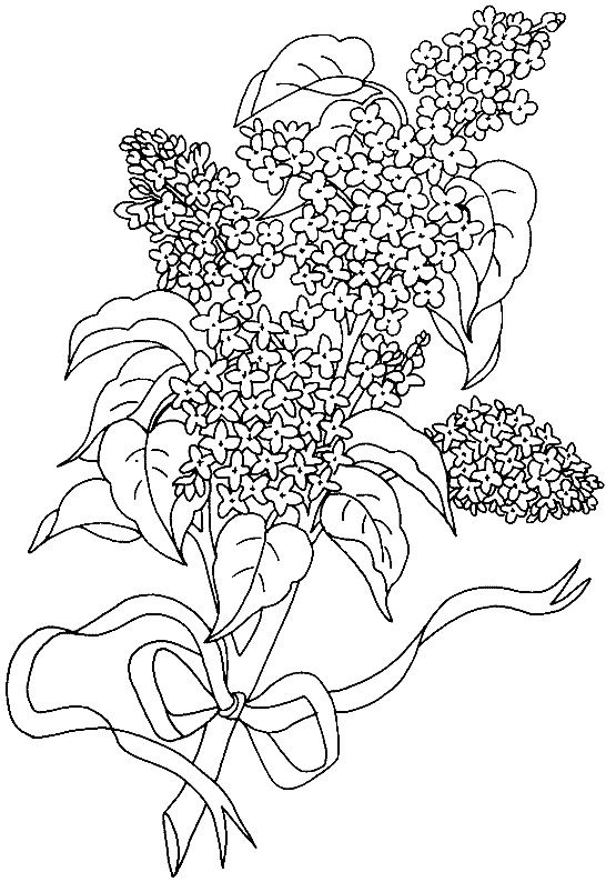 Dibujo para colorear: Ramo de flores (Naturaleza) #160994 - Dibujos para Colorear e Imprimir Gratis
