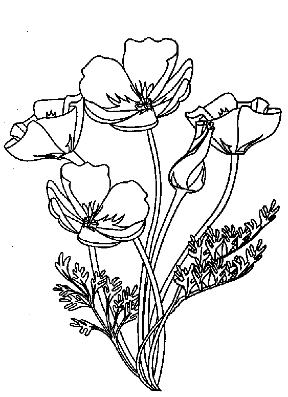 Dibujo para colorear: Ramo de flores (Naturaleza) #161045 - Dibujos para Colorear e Imprimir Gratis