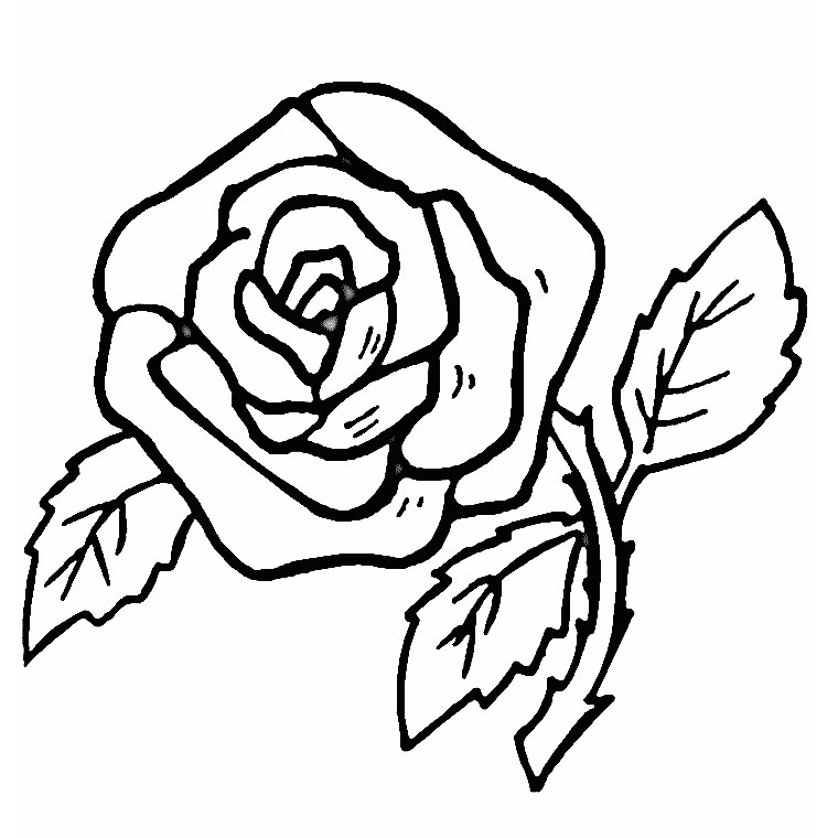 Dibujo para colorear: Rosas (Naturaleza) #161870 - Dibujos para Colorear e Imprimir Gratis