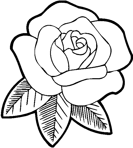Dibujo para colorear: Rosas (Naturaleza) #161871 - Dibujos para Colorear e Imprimir Gratis