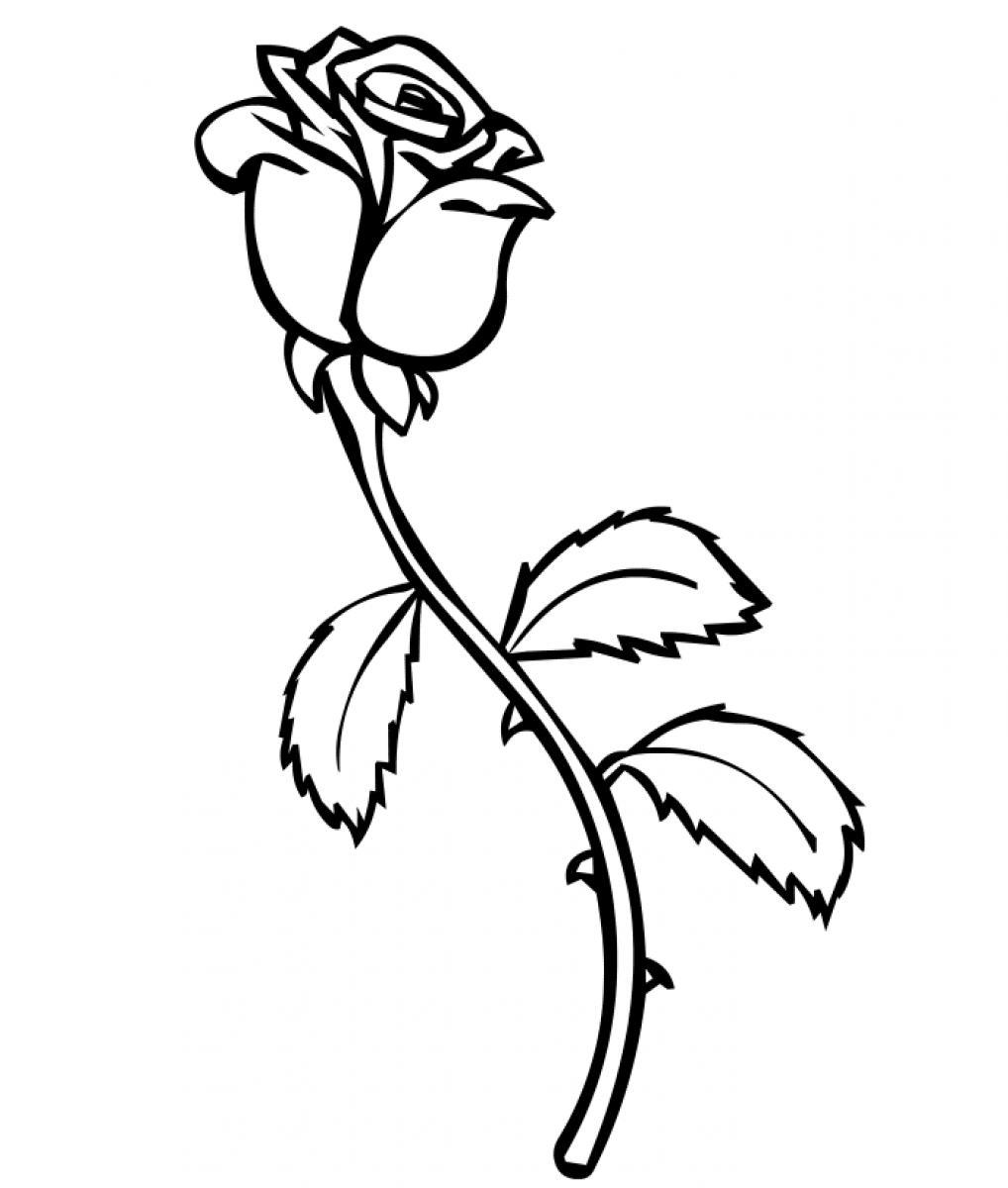 Dibujo para colorear: Rosas (Naturaleza) #161873 - Dibujos para Colorear e Imprimir Gratis