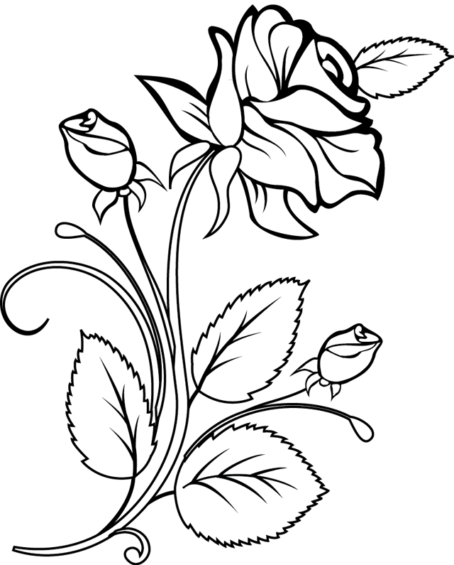 Dibujo para colorear: Rosas (Naturaleza) #161874 - Dibujos para Colorear e Imprimir Gratis