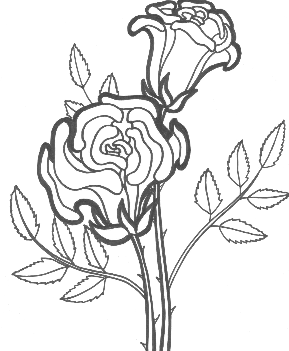 Dibujo para colorear: Rosas (Naturaleza) #161879 - Dibujos para Colorear e Imprimir Gratis