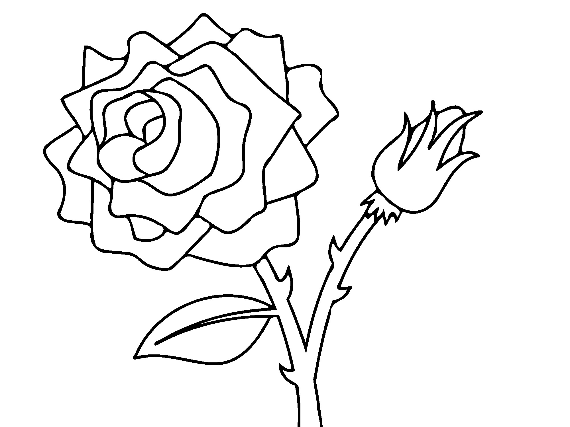 Dibujo para colorear: Rosas (Naturaleza) #161881 - Dibujos para Colorear e Imprimir Gratis