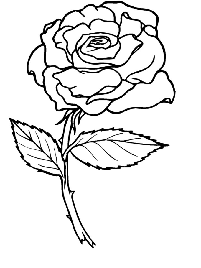Dibujo para colorear: Rosas (Naturaleza) #161884 - Dibujos para Colorear e Imprimir Gratis