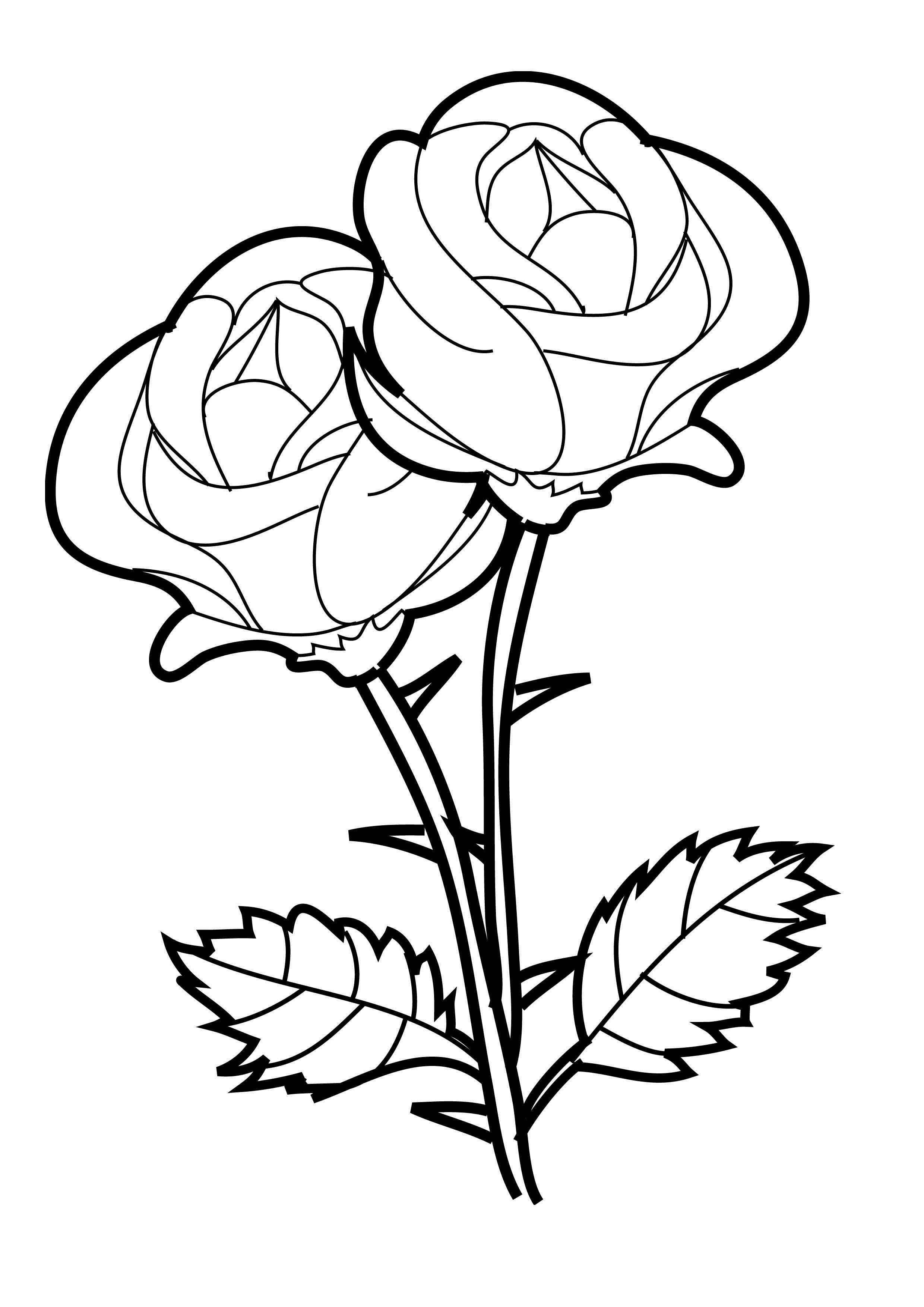 Dibujo para colorear: Rosas (Naturaleza) #161890 - Dibujos para Colorear e Imprimir Gratis